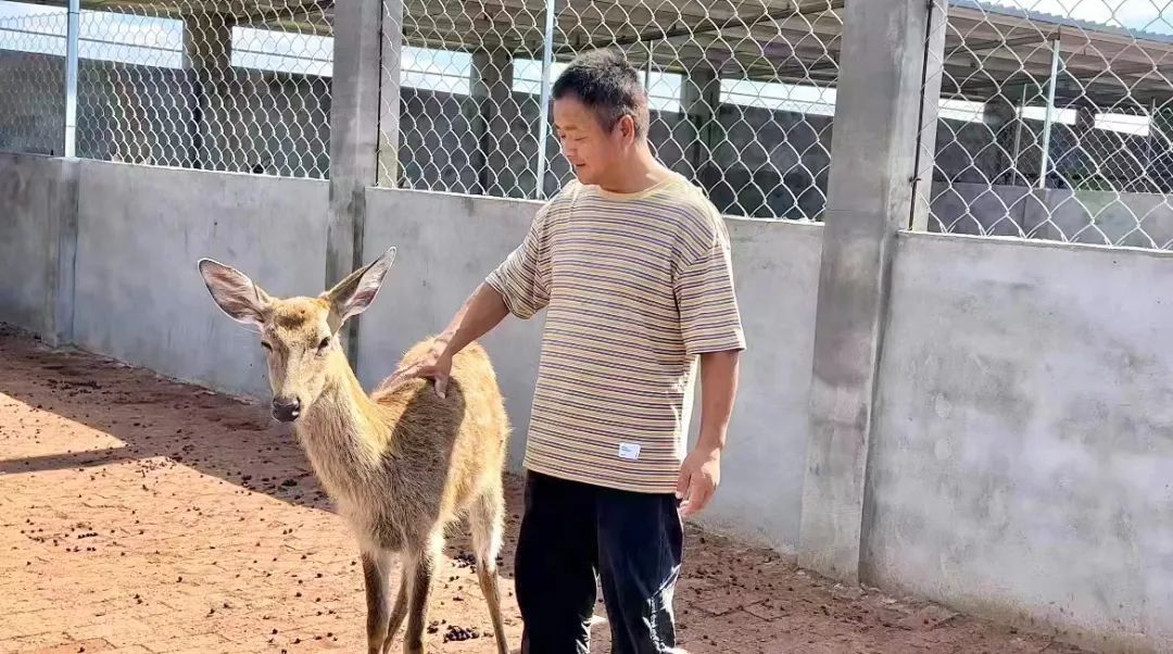 足球现金盘